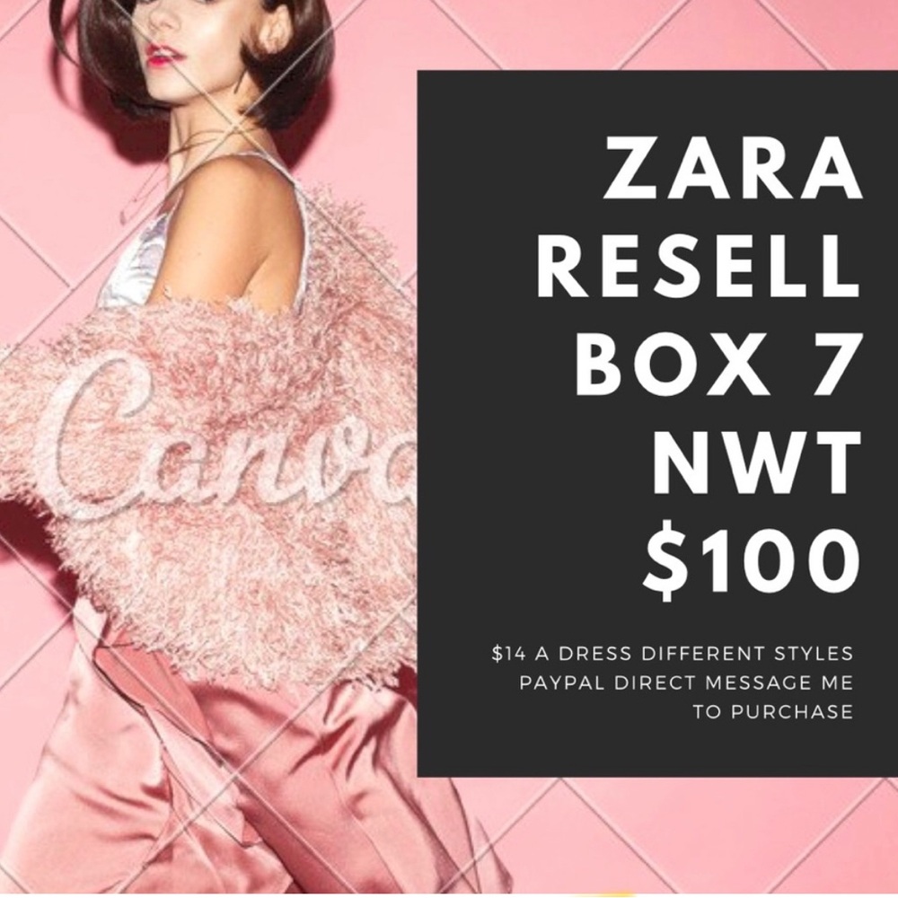 Zara Blush Pink Furry Bag